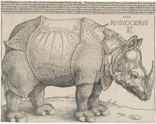 The Rhinoceros.