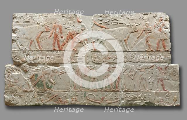 Relief of Agricultural Scenes, c. 2311-2281. Creator: Unknown.