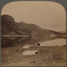 'Thirlmere, a lake reservoir, the water-supply of Manchester (96 miles distant, Lake District, Eng.) Creator: Unknown.
