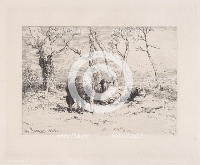 Moutons, 1868. Creator: Charles Emile Jacque.