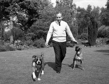 John Surtees playing with his pet dogs at home 1966. Creator: Unknown.
