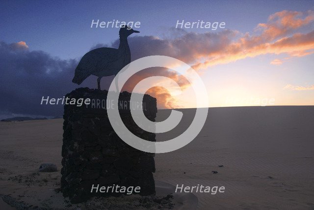 Dunes Natural Park, Fuerteventura, Canary Islands.