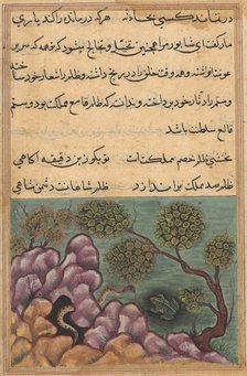 Page from Tales of a Parrot (Tuti-nama): Twenty-sixth night: The dethroned frog..., c. 1560. Creator: Unknown.