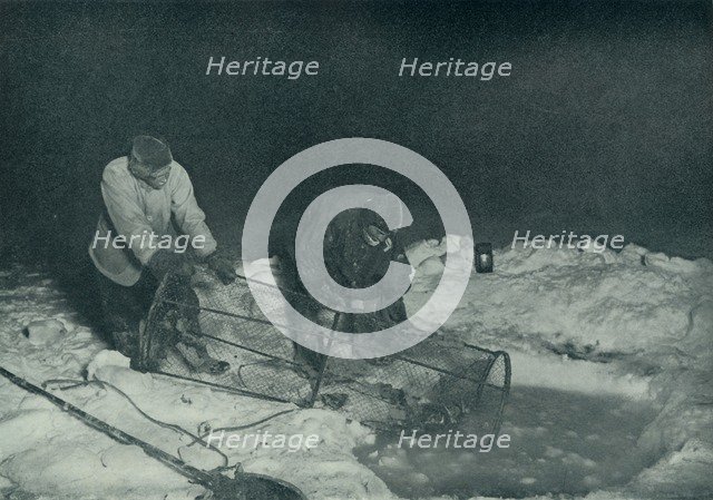 'Dr. Atkinson and Clissold Hauling Up The Fish-Trap', 28 May 1911, (1913). Artist: Herbert Ponting.