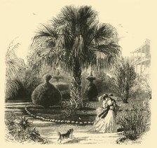 'A Garden in Charleston', 1872.  Creator: John J. Harley.