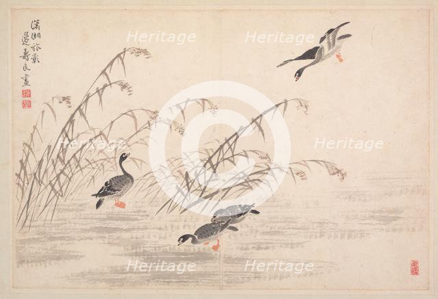 Album of Calligraphy and Paintings, 18th Century. Creator: Bian Shoumin (Chinese, 1684-1752).