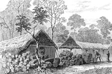 The Ashantee War: Barracoe - station on the road to Coomassie,...sketch by our special artist, 1874. Creator: Unknown.