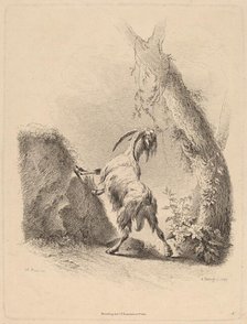 Goat in a Landscape, 1805. Creator: Adam von Bartsch.