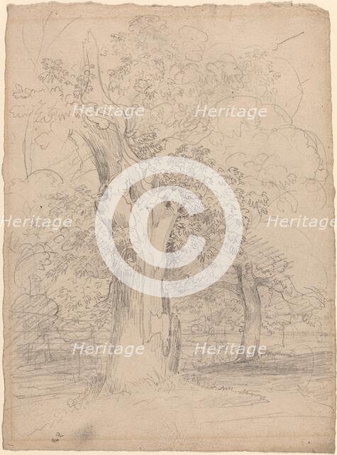 An Ancient Tree with Figures in a Landscape, c. 1835. Creator: Friedrich Salathe.