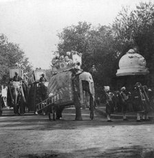 A Punjabi princess in an elephant procession, Delhi, India, 1900s.Artist: H Hands & Son