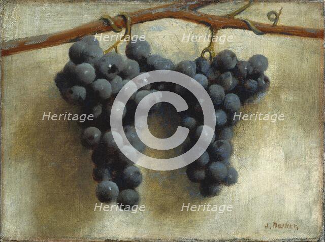 Grapes, c. 1890/1895. Creator: Joseph Decker.