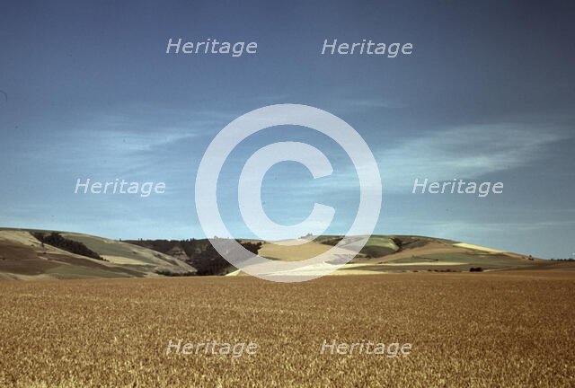Wheat land, Walla Walla, Washington, 1941. Creator: Russell Lee.