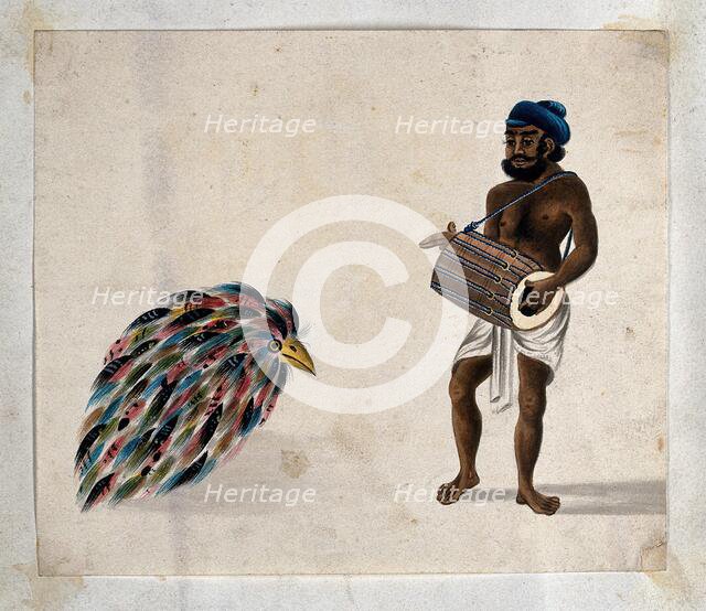 India: a drummer with an exotic bird, (between 1800 and 1899?). Creator: Unknown.