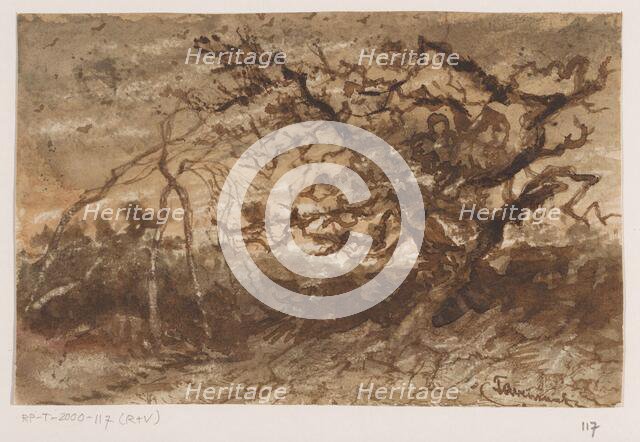 Tree at sunset, 1835-1845. Creator: Johannes Tavenraat.