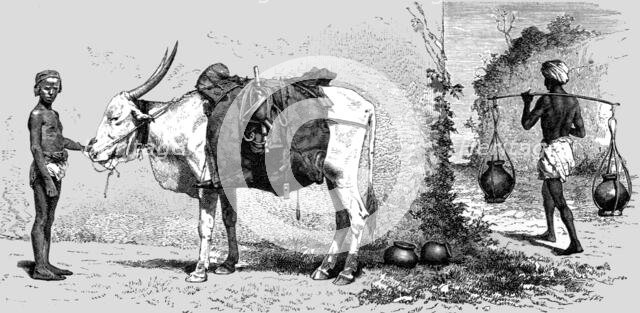 'Baggage-animal, India; Black Bear shooting in the Himalayas', 1875. Creator: G. Beste.