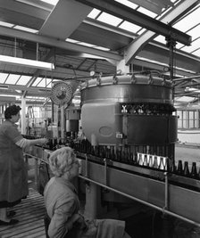 Bottling beer at Ward & Sons bottling plant, Swinton, South Yorkshire, 1961. Artist: Michael Walters