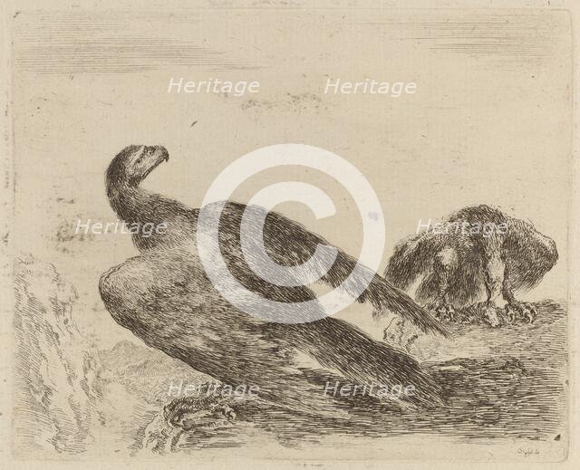 Two Eagles on a Promitory. Creator: Stefano della Bella.