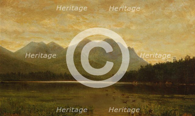 Upper Ausable Lake, 1868. Creator: Homer Dodge Martin.