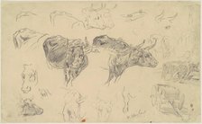 Studies of Oxen, late 19th century. Creator: Walter Shirlaw.