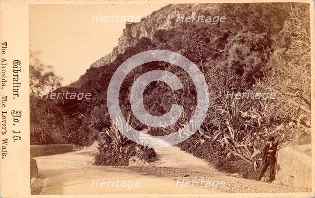 Gibraltar, The Alameda, The Lover's Walk, 19th century. Creator: Anon.