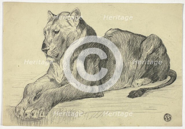 Lioness, n.d. Creator: Edwin Henry Landseer.
