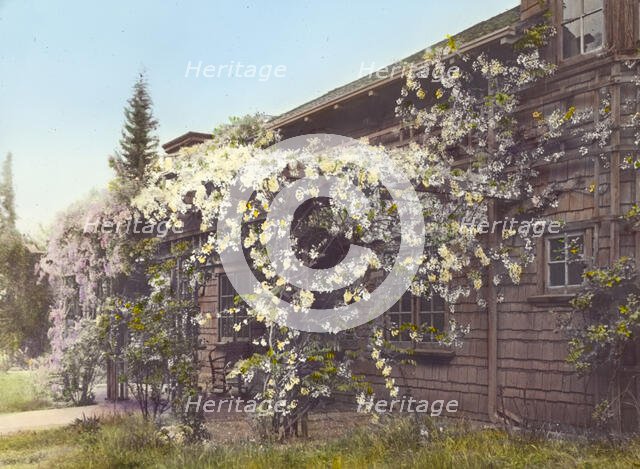 John Constantine Hillman house, 514 California Terrace, Pasadena, California, 1917. Creator: Frances Benjamin Johnston.