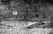 Obstruction on the River Mole, near Esher, 1890. Creator: Unknown.