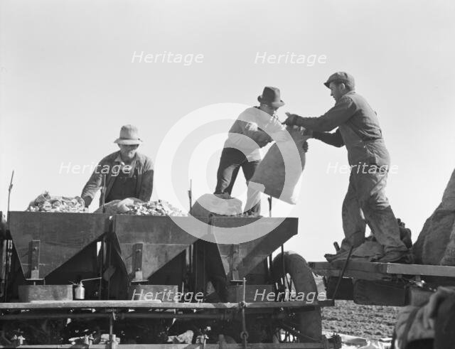 Loading bins of potato planter which fertilizes and plants potatoes..., Kern County, CA, 1939. Creator: Dorothea Lange.