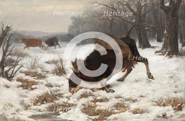 A cow is attacked by wolves, before 1872. Creator: Otto von Thoren.