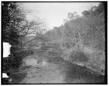 Rock Creek Park scenes, between 1910 and 1920. Creator: Harris & Ewing.