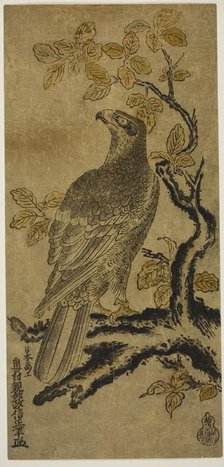 A Hawk on a Kiri Tree, c. 1720/25. Creator: Okumura Masanobu.