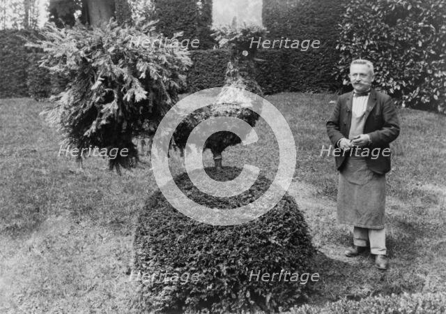 Gardener standing alongside shrub trimmed into shape of a rooster, in garden at Villa..., 1925. Creator: Frances Benjamin Johnston.