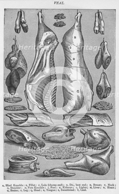 'Veal, 1907, (1907). Artist: Unknown.