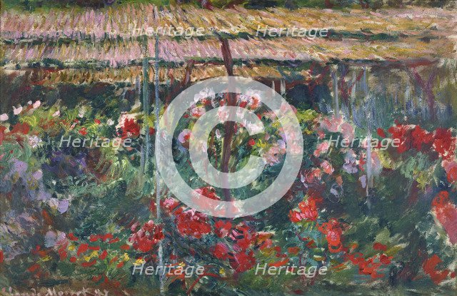Peony Garden, 1887. Artist: Monet, Claude (1840-1926)