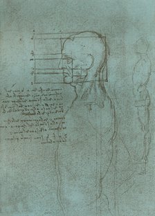 Drawing illustrating the theory of the proportions of the human figure, c1472-c1519 (1883).  Artist: Leonardo da Vinci.