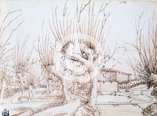 'Willow Plantation', 1514. Artist: Wolf Huber