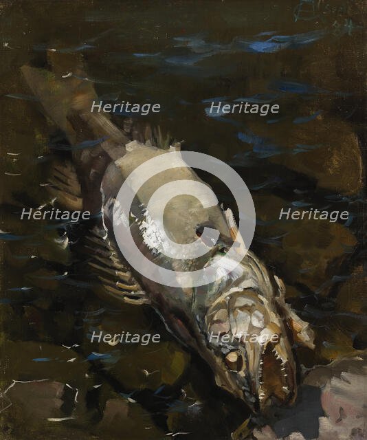 Decaying Sander, 1884. Creator: Akseli Gallen-Kallela.