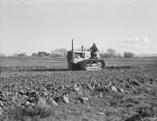 Cultivating potato field, California, 1939. Creator: Dorothea Lange.