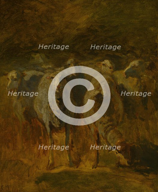 Unfinished Study of Sheep, c. 1850. Creator: Constant Troyon.