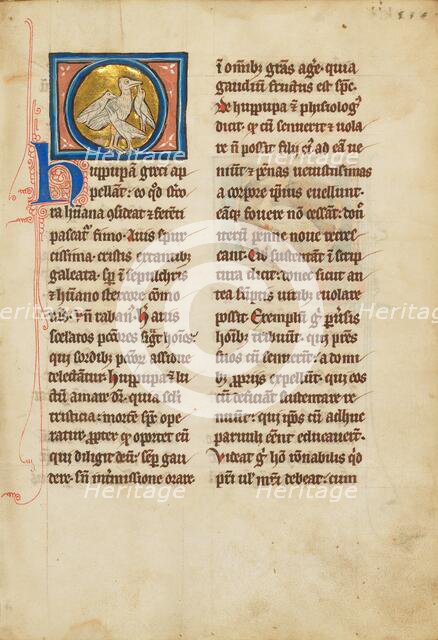 A Hoopoe; De Natura Avium; De Pastoribus et Ovibus; Bestiarium, 1277 or after. Creator: Unknown.