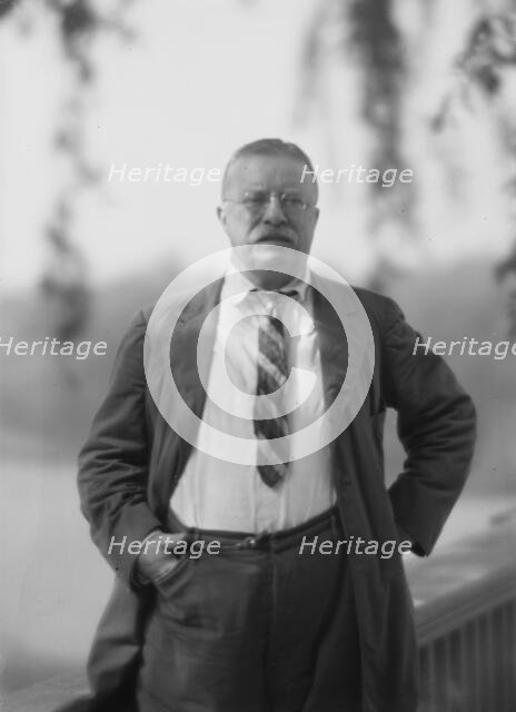 Roosevelt, Theodore, portrait photograph, 1916 Sept. 8. Creator: Arnold Genthe.