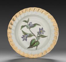 Plate from Dessert Service: Nettle Leaved Bell Flower, c. 1800. Creator: Derby (Crown Derby Period) (British).