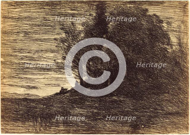 Hermit's Woods (Le Bois de l'ermite), 1858. Creator: Jean-Baptiste-Camille Corot.