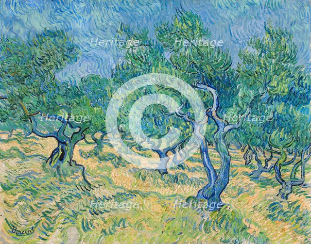 Olive grove, 1889. Creator: Gogh, Vincent, van (1853-1890).