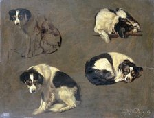 Four Studies of a Dog, 1868. Creator: Guillaume Anne van der Brugghen.