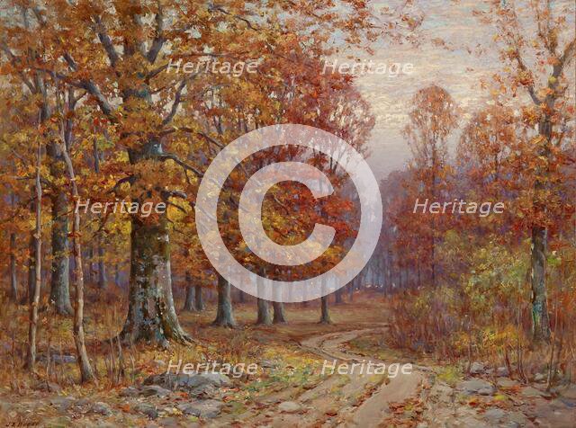 Woods Interior, date unknown. Creator: John Elwood Bundy.