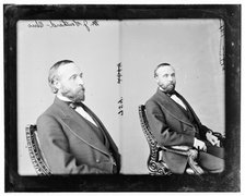 Southard, Hon. Milton Isaiah of Ohio, between 1865 and 1880. Creator: Unknown.