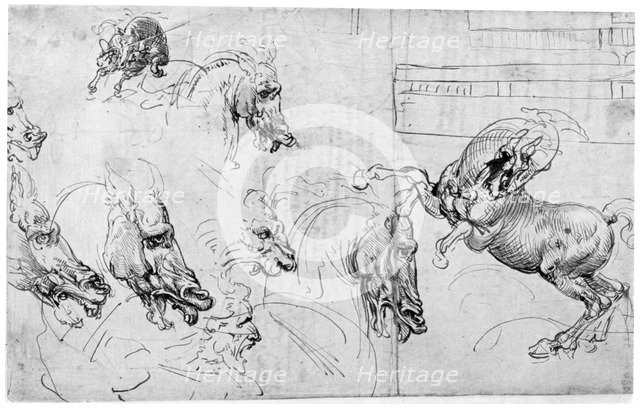 Study for 'The Battle of Anghiari', c1503-1505 (1954).Artist: Leonardo da Vinci