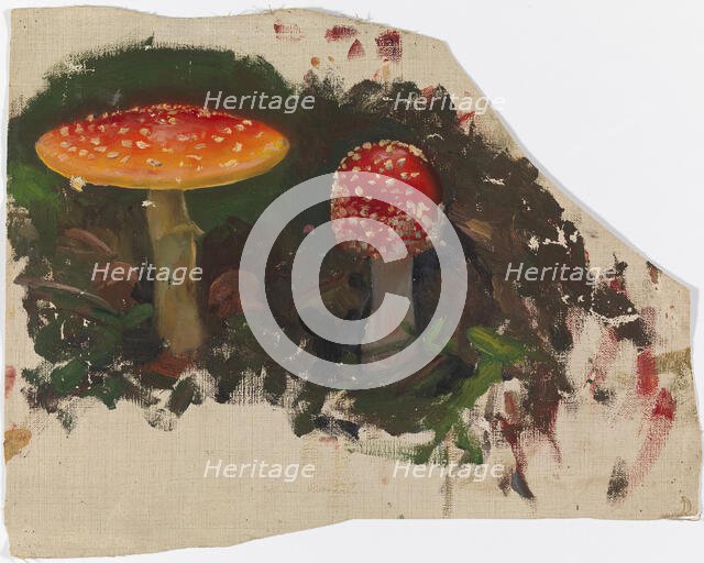 Two Fly Agarics, sketch for the painting Fairy Tale Princess, c1895-1896. Creator: Torsten Wasastjerna.