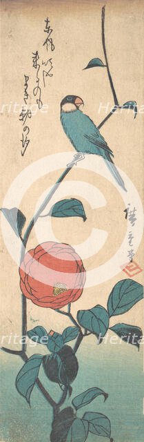 Camellia and Finch, ca. 1840., ca. 1840. Creator: Ando Hiroshige.